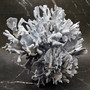 Blue Ridge Coral Cluster Heliopora Coerulea Great Blue coral cluster for coastal home decor or display! Copyright 2026 SeaShellSupply.com.