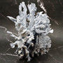 Large Blue Ridge Coral Cluster Reef Sculpture (1 coral 14L x 7D x 12H inches) Blue Heliopora Coerulea Coral Creation for decor or display! Copyright 2026 SeaShellSupply.com.