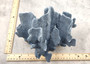 Blue Ridge Coral Cluster Heliopora Coerulea (1 coral 8.5L x 6.5D x 7H inches) Great Blue coral cluster for coastal home decor or display! Copyright 2026 SeaShellSupply.com.