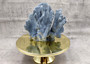 Blue Ridge Coral Cluster Heliopora Coerulea (1 coral 8.5L x 6.5D x 7H inches) Great Blue coral cluster for coastal home decor or display! Copyright 2026 SeaShellSupply.com.
