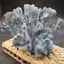 Blue Ridge Coral Cluster Heliopora Coerulea (1 coral 7.5L x 6D x 6H inches) Great Blue Coral Cluster for coastal home decor or display! 06 Copyright 2026 SeaShellSupply.com.