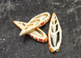 Image of Center Cut Mitra Seashells Mitra (3 shells approx. 2+ inches)  Natural shells great for crafting display and collecting