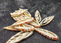 Image of Center Cut Mitra Seashells Mitra (3 shells approx. 2+ inches)  Natural shells great for crafting display and collecting