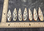 Image of Center Cut Mitra Seashells Mitra (3 shells approx. 2+ inches)  Natural shells great for crafting display and collecting