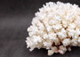 Brownstem White Lace Coral Cluster Pocillopora Damicornis (1 coral 8L x 4.5H x 7D inches) Large Lace Coral Cluster for decor & display!