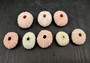 Pink Sea Urchins Echinometra Mathaei (5 urchins approx. 1+ inches) Natural Urchin Shell for display & collecting!
