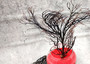 Black Sea Fan Coral Rough Dried Iciligorgia Schrammi (1 fan approx. 8+ inches) Real Rugged Black sea fan branches for arts crafts & decor!
