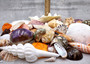 Seashell Variety Pack Assorted Mix B GRADE (Approx. 40+ Shells 2-6+ inches) B GRADE Shell Grab Bag Assortment 2 for crafts teaching & art!