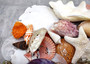Seashell Variety Pack Assorted Mix B GRADE (Approx. 40+ Shells 2-6+ inches) B GRADE Shell Grab Bag Assortment 2 for crafts teaching & art!
