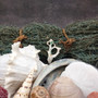 Seashell Variety Pack Assorted Mix B GRADE (Approx. 40+ Shells 2-8+ inches) B GRADE Shell Grab Bag Assortment 02 for crafts teaching & art! Copyright 2026 SeaShellSupply.com.
