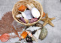 Seashell Variety Pack Assorted Mix B GRADE (Approx. 40+ Shells 2-6+ inches) B GRADE Shell Grab Bag Assortment 3 for crafts teaching & art! Copyright 2025 SeaShellSupply.com