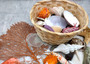 Seashell Variety Pack Assorted Mix B GRADE (Approx. 40+ Shells 2-6+ inches) B GRADE Shell Grab Bag Assortment 3 for crafts teaching & art!