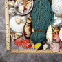 Seashell Variety Pack Assorted Mix B GRADE (Approx. 40+ Shells 2-6+ inches) B GRADE Shell Grab Bag Assortment 3 for crafts teaching & art! Copyright 2025 SeaShellSupply.com