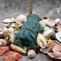 Seashell Variety Pack Assorted Mix B GRADE (Approx. 40+ Shells 2-6+ inches) B GRADE Shell Grab Bag Assortment 3 for crafts teaching & art! Copyright 2025 SeaShellSupply.com