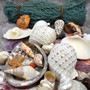 Seashell Variety Pack Assorted Mix B GRADE (Approx. 40+ Shells 2-6+ inches) B GRADE Shell Grab Bag Assortment 3 for crafts teaching & art! Copyright 2025 SeaShellSupply.com