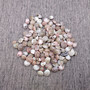 Pink Umbonium Seashell Mix (approx. quarter cup +/-90 shells 0.375+ inches) Small Pink Brown Umbonium Shells for arts & crafts! Copyright 2025 SeaShellSupply.com.