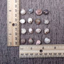 Pink Umbonium Seashell Mix (approx. quarter cup +/-90 shells 0.375+ inches) Small Pink Brown Umbonium Shells for arts & crafts! Copyright 2025 SeaShellSupply.com.