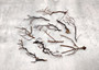 Black Sea Fan Coral Dried Branches Gorgonia Ventalina (10 fragments approx. 3+ inches) Real Black Sea Fan branches for arts crafts & decor!