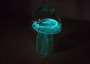 Jellyfish Glass Egg Dark Green Paperweight Glow In The Dark (1 figurine approx. 3.5 inches tall) Copyright 2025 SeaShellSupply.com.