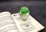 Jellyfish Glass Egg Dark Green Paperweight Glow In The Dark (1 figurine approx. 3.5 inches tall) Copyright 2025 SeaShellSupply.com.