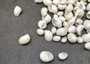 Caribbean White Milk Moon Seashells (approx. 20+ shells 1/2 Cup 0.5+ inches) Polinices Lacteus Milk Moon Shells for crafts & display!