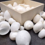 Caribbean White Milk Moon Seashells (approx. 20+ shells 1/2 Cup 0.5+ inches) Polinices Lacteus Milk Moon Shells for crafts & display! Copyright 2026 SeaShellSupply.com.
