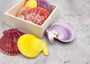 Scallop Seashell Halves Red Yellow Purple Pecten Nobilis (5 shell halves approx. 2.25+ inches) Copyright 2025 SeaShellSupply.com.