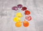 Scallop Seashell Halves Red Yellow Purple Pecten Nobilis (5 shell halves approx. 2.25+ inches) Copyright 2025 SeaShellSupply.com.