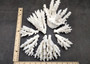 White Table Coral Pieces (1 set of 7 pieces approx. 3-5 inches) Copyright 2025 SeaShellSupply.com.