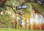 Hanging Driftwood Tiki Bar Sign Garland (1 Garland approx. 18 x 9 inches) Tiki Bar sign great for bringing beachside charm to any home! Copyright 2025 SeaShellSupply.com.