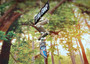 Hanging Driftwood Tiki Bar Sign Garland (1 Garland approx. 18 x 9 inches) Tiki Bar sign great for bringing beachside charm to any home! Copyright 2025 SeaShellSupply.com.