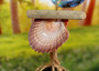 Hanging Nautical Garland Blue Glass Float Seashells (1 Garland approx. 18 x 5 inches) Blue Glass Float Shells Mobile for beachy home decor! Copyright 2025 SeaShellSupply.com.
