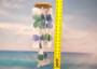 Blue Green White Capiz Shell Wind Chime (1 chime approx. 18 x 5 inches) Blue Green White Capiz Shell Wind Chime for coastal home decoration!