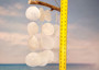 White Capiz Shell Flat Wind Chime (1 chime approx. 14 x 12 inches) Natural White Round Cut Capiz Shell Wind Chime for coastal home décor!
