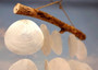 White Capiz Shell Flat Wind Chime (1 chime approx. 14 x 12 inches) Natural White Round Cut Capiz Shell Wind Chime for coastal home décor! Copyright 2025 SeaShellSupply.com.