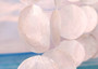 White Capiz Shell Flat Wind Chime (1 chime approx. 14 x 12 inches) Natural White Round Cut Capiz Shell Wind Chime for coastal home décor! Copyright 2025 SeaShellSupply.com.