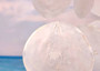 White Capiz Shell Flat Wind Chime (1 chime approx. 14 x 12 inches) Natural White Round Cut Capiz Shell Wind Chime for coastal home décor! Copyright 2025 SeaShellSupply.com.