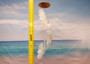 Circle White Spiral Stairway Capiz Shell WInd Chime (1 Chime approx. 31 x 5.5 inches) White Spiral Chime brings beachside charm to any home!
