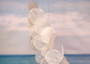 Circle White Spiral Stairway Capiz Shell WInd Chime (1 Chime approx. 31 x 5.5 inches) White Spiral Chime brings beachside charm to any home! Copyright 2025 SeaShellSupply.com.
