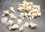 White Seashell Large Wedding Mix (approx. 1 kilogram 50+ shells 1.5-3.5+ inches) Mixed White Shells for wedding table decoration & crafting!