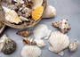 Mixed Small Seashells Assortment in 4 Inch Basket (approx. 15-25+ shells 0.5-1.5+ inches) Shells for coastal crafting and collections! Copyright 2025 SeaShellSupply.com.