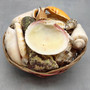 Mixed Small Seashells Assortment in 4 Inch Basket (approx. 15-25+ shells 0.5-1.5+ inches) Shells for coastal crafting and collections! Copyright 2025 SeaShellSupply.com.