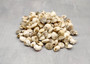 Natural White Umbonium Seashells Light Mix (approx. half cup 125+ shells 0.25+ inches) White Umbonium bulk shells for arts crafts & jewelry! Copyright 2025 SeaShellSupply.com.
