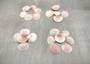 Rose Petal Tellin Seashell Halves Pink Eurytellina Lineata (Approx. 20 HALF shells 0.375+ inches) Copyright 2025 SeaShellSupply.com.
