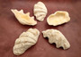 Derasa Clam Seashell Half White Tridacna Derasa (1 shell approx. 7.5+ inches) Big Derasa Clam Shell Halves for art projects crafts & display! Copyright 2025 SeaShellSupply.com.