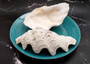 Derasa Clam Seashell Half White Tridacna Derasa (1 shell HALF approx. 8+ inches) Large Derasa Clam Shell HALF for centerpieces & display!