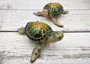 Green Sea Turtle Figurine Painted Resin (1 turtle approx. 6.5 inches long) Green Painted Resin Sea Turtle Figure for coastal home décor! Copyright 2025 SeaShellSupply.com.