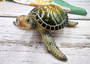 Green Sea Turtle Figurine Painted Resin (1 turtle approx. 6.5 inches long) Green Painted Resin Sea Turtle Figure for coastal home décor! Copyright 2025 SeaShellSupply.com.