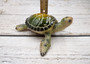 Green Sea Turtle Figurine Painted Resin (1 turtle approx. 6.5 inches long) Green Painted Resin Sea Turtle Figure for coastal home décor! Copyright 2025 SeaShellSupply.com.