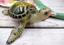 Green Sea Turtle Figurine Painted Resin (1 turtle approx. 6.5 inches long) Green Painted Resin Sea Turtle Figure for coastal home décor! Copyright 2025 SeaShellSupply.com.